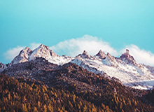 CBA官方第四周周最佳球员出炉 胡金秋史密斯当选